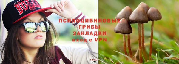 молекула духа Алексеевка