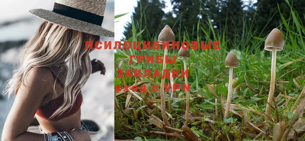 мет Аркадак